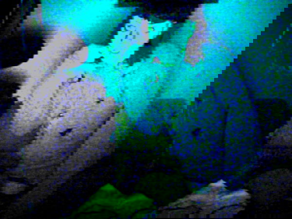 moonyyyya moonyyyya archive image