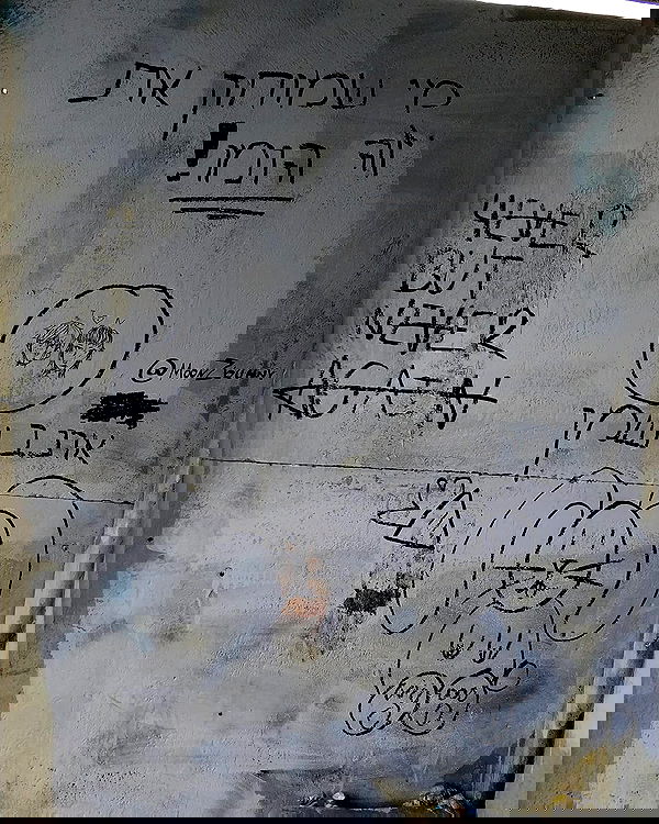 moonyyyya moonyyyya archive image