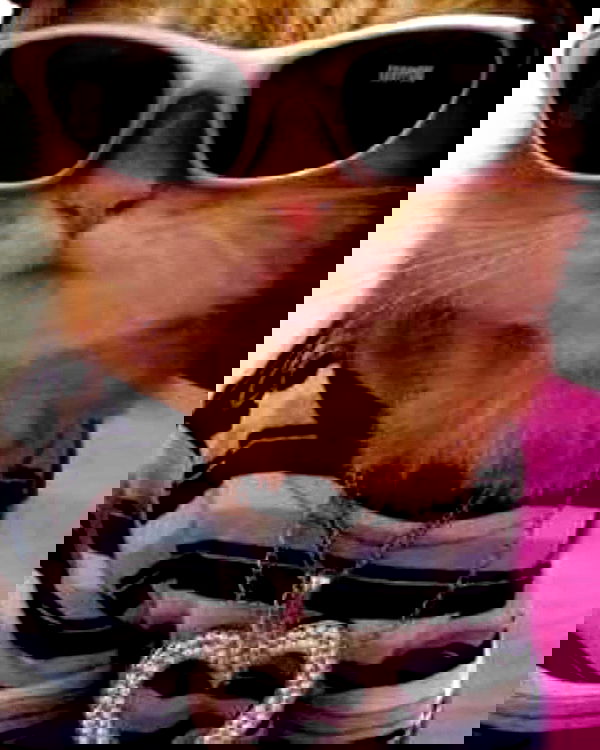 moonyyyya moonyyyya archive image