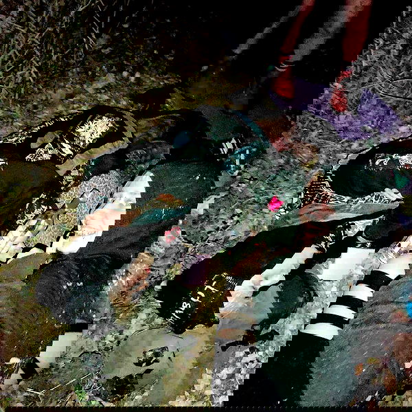 moonyyyya moonyyyya archive image