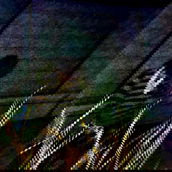 moonyyyya moonyyyya archive image