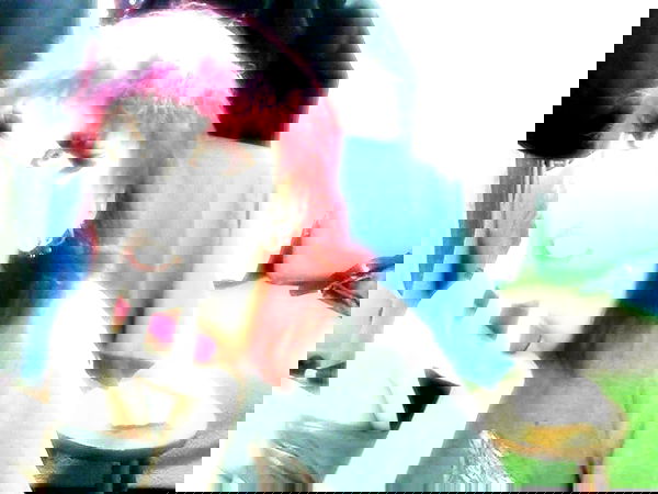 moonyyyya moonyyyya archive image