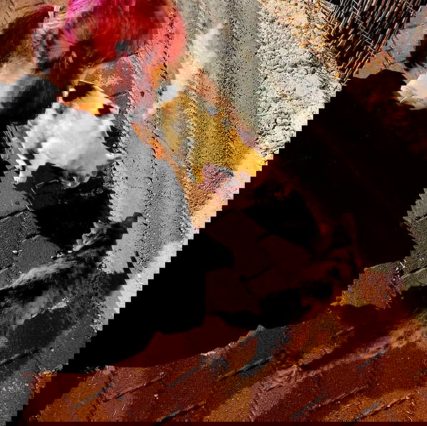 moonyyyya moonyyyya archive image