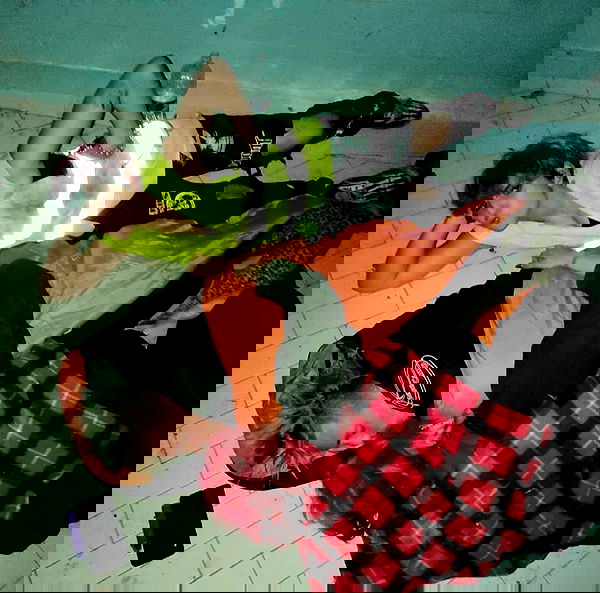 moonyyyya moonyyyya archive image