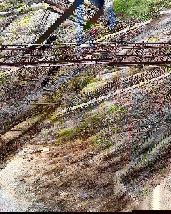 moonyyyya moonyyyya archive image