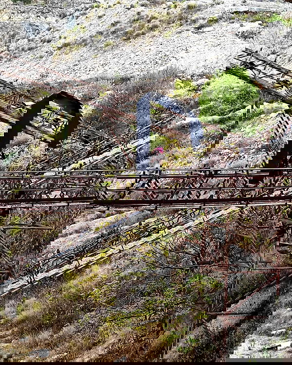 moonyyyya moonyyyya archive image