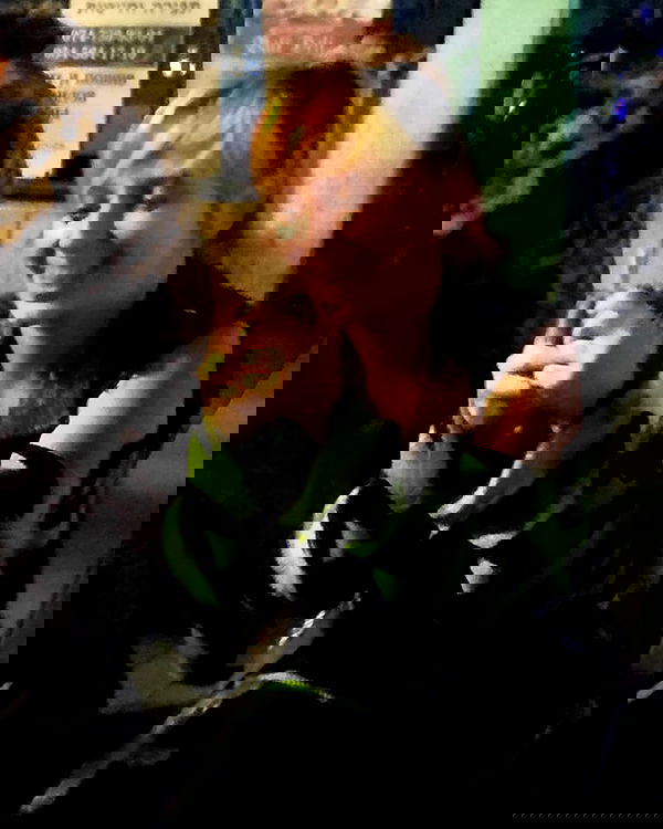 moonyyyya moonyyyya archive image