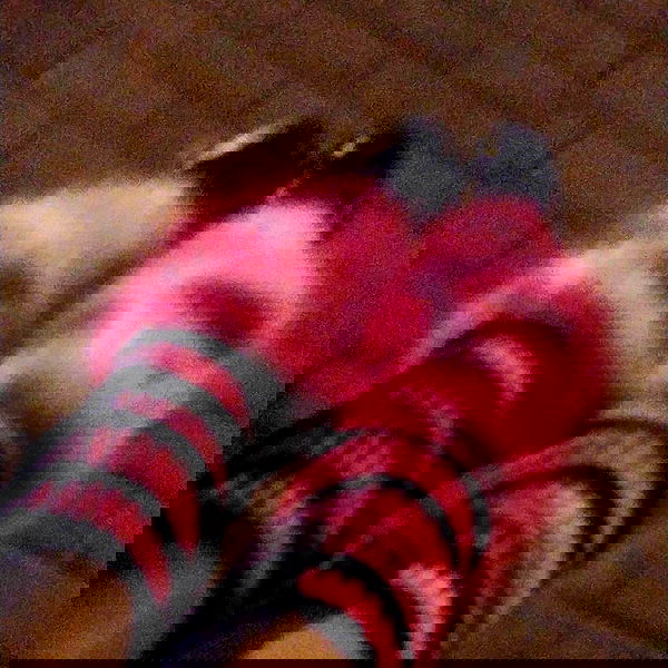 moonyyyya moonyyyya archive image