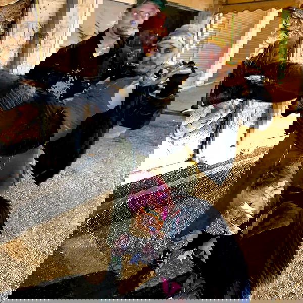 moonyyyya moonyyyya archive image