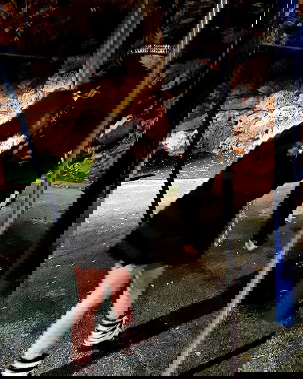 moonyyyya moonyyyya archive image