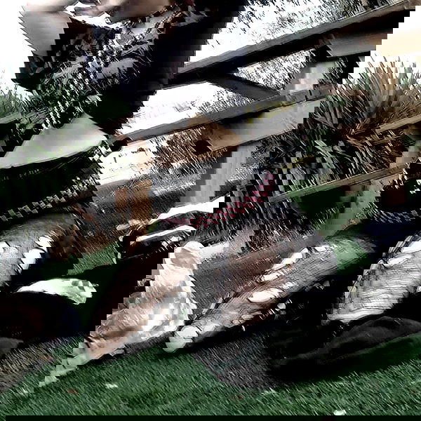 moonyyyya moonyyyya archive image