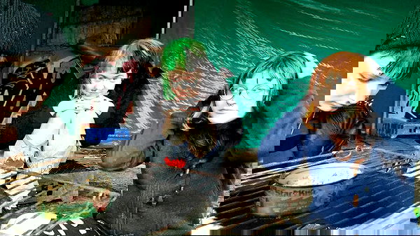 moonyyyya moonyyyya archive image