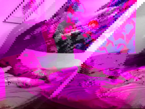 moonyyyya moonyyyya archive image