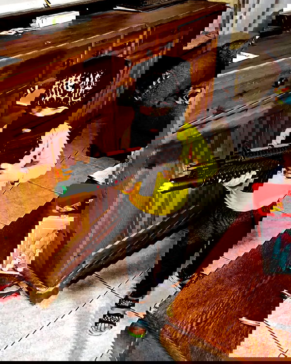 moonyyyya moonyyyya archive image