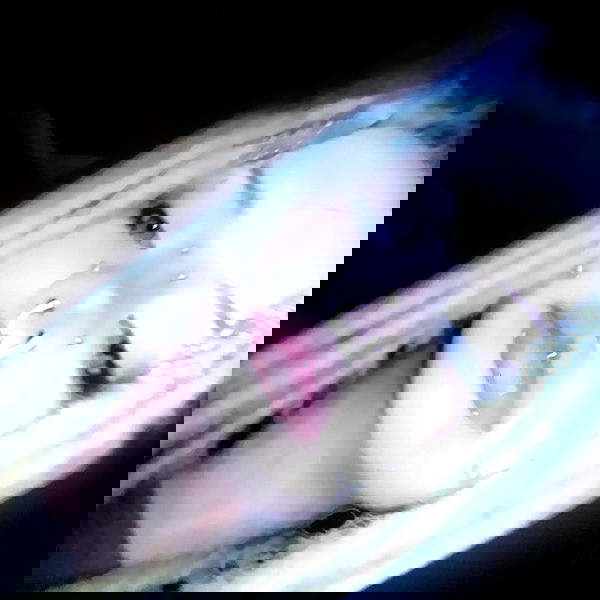 moonyyyya moonyyyya archive image