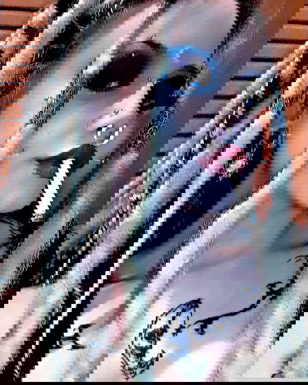 moonyyyya moonyyyya archive image