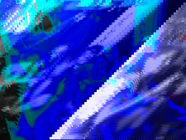 moonyyyya moonyyyya archive image