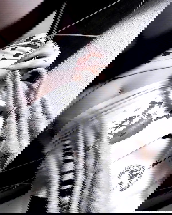 moonyyyya moonyyyya archive image