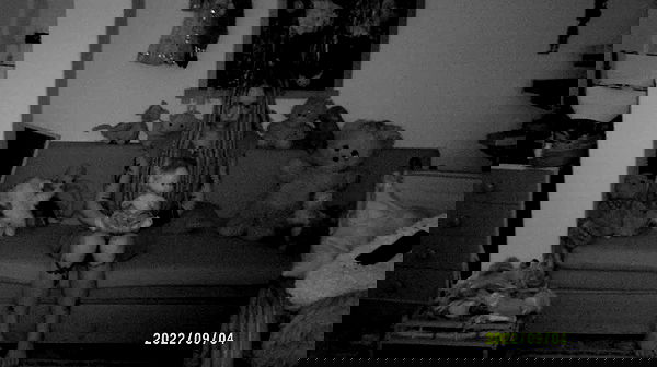 moonyyyya moonyyyya archive image