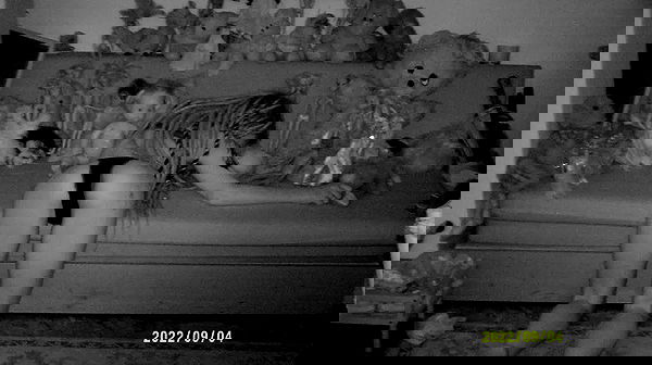 moonyyyya moonyyyya archive image