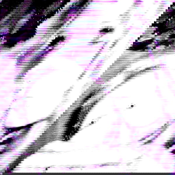 moonyyyya moonyyyya archive image