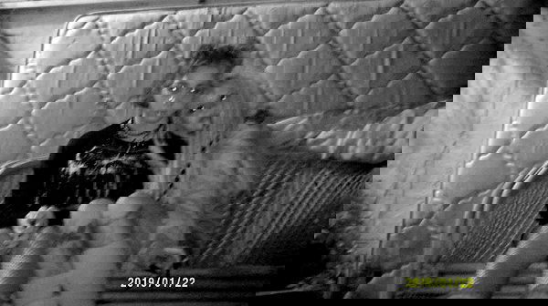 moonyyyya moonyyyya archive image