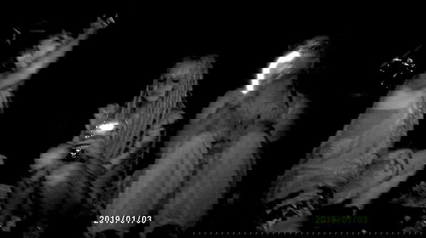 moonyyyya moonyyyya archive image