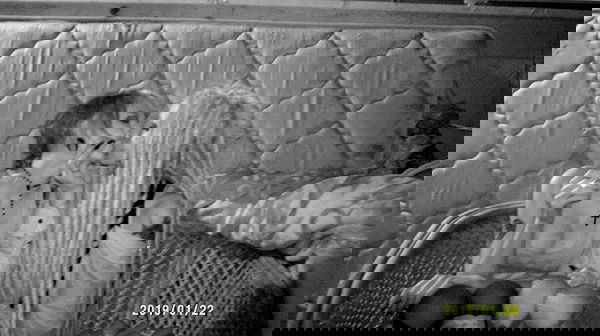 moonyyyya moonyyyya archive image