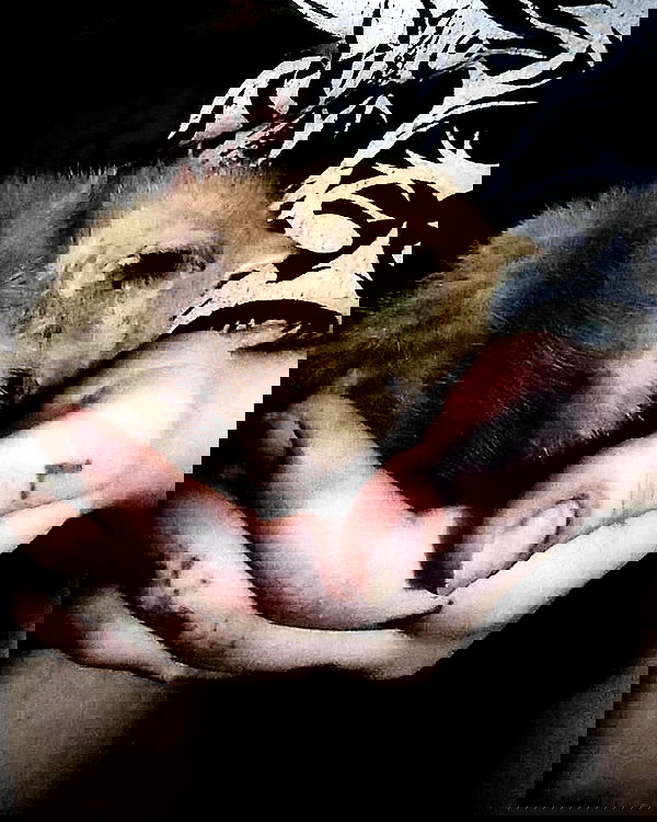 moonyyyya moonyyyya archive image