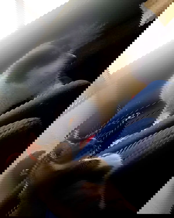 moonyyyya moonyyyya archive image