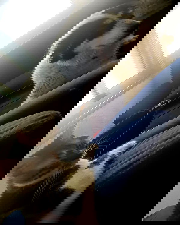 moonyyyya moonyyyya archive image