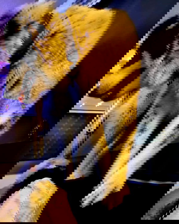 moonyyyya moonyyyya archive image