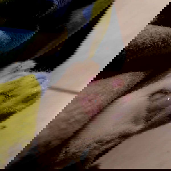 moonyyyya moonyyyya archive image