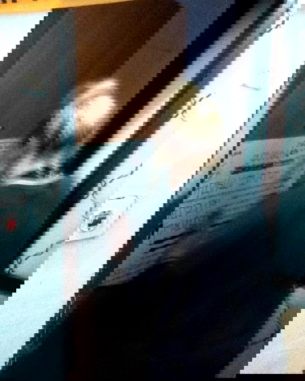 moonyyyya moonyyyya archive image