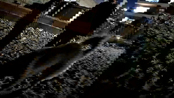 moonyyyya moonyyyya archive image