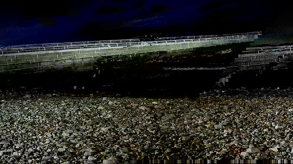 moonyyyya moonyyyya archive image