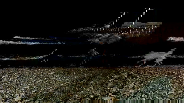 moonyyyya moonyyyya archive image