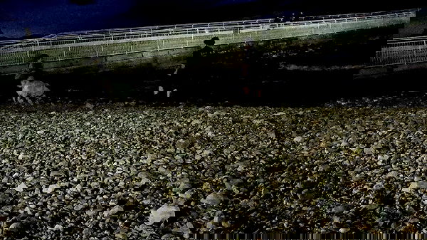 moonyyyya moonyyyya archive image