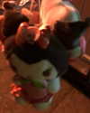 morbidlyd3ad Altpins Profile Picture