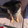 morbidlyd3ad Altpins Profile Picture