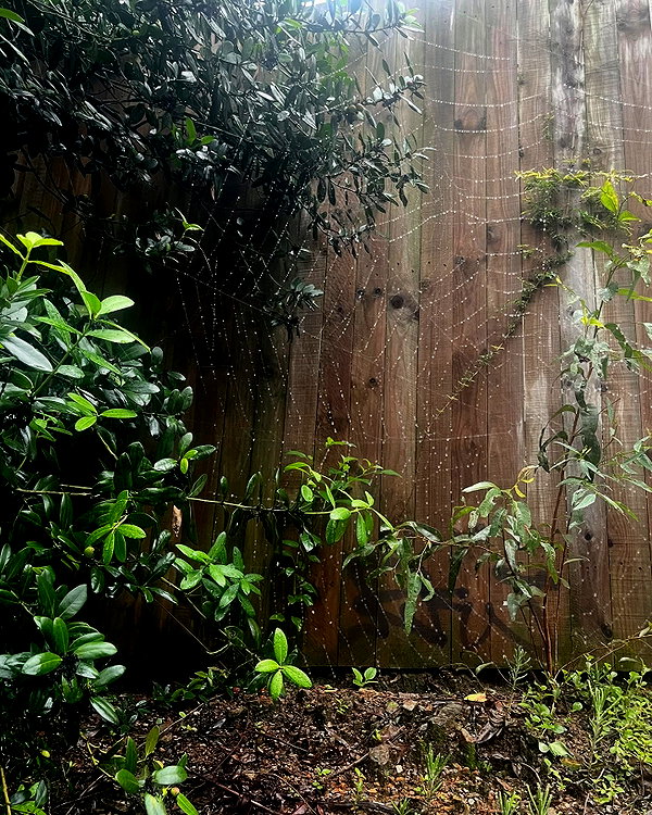 morbidlyd3ad instagram image archive image