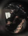 morbidlyd3ad Altpins Profile Picture