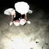 morbidlyd3ad Altpins Profile Picture