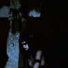 morbidlyd3ad Altpins Profile Picture