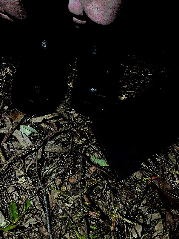 morbidlyd3ad instagram image archive image