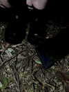 morbidlyd3ad Altpins Profile Picture