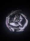 morbidlyd3ad Altpins Profile Picture