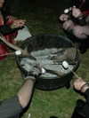morbidlyd3ad Altpins Profile Picture