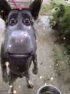 morbidlyd3ad Altpins Profile Picture