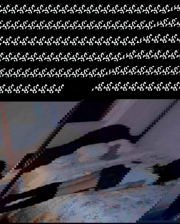 morejulss morejulss archive image